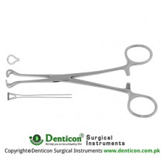 Babcock Intestinal and Tissue Grasping Forceps Stainless Steel, 17.5 cm - 7"
